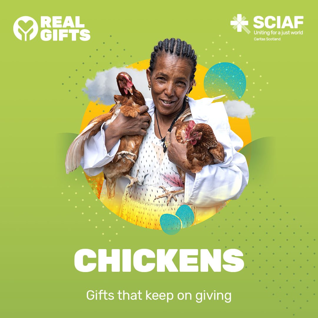 Chickens