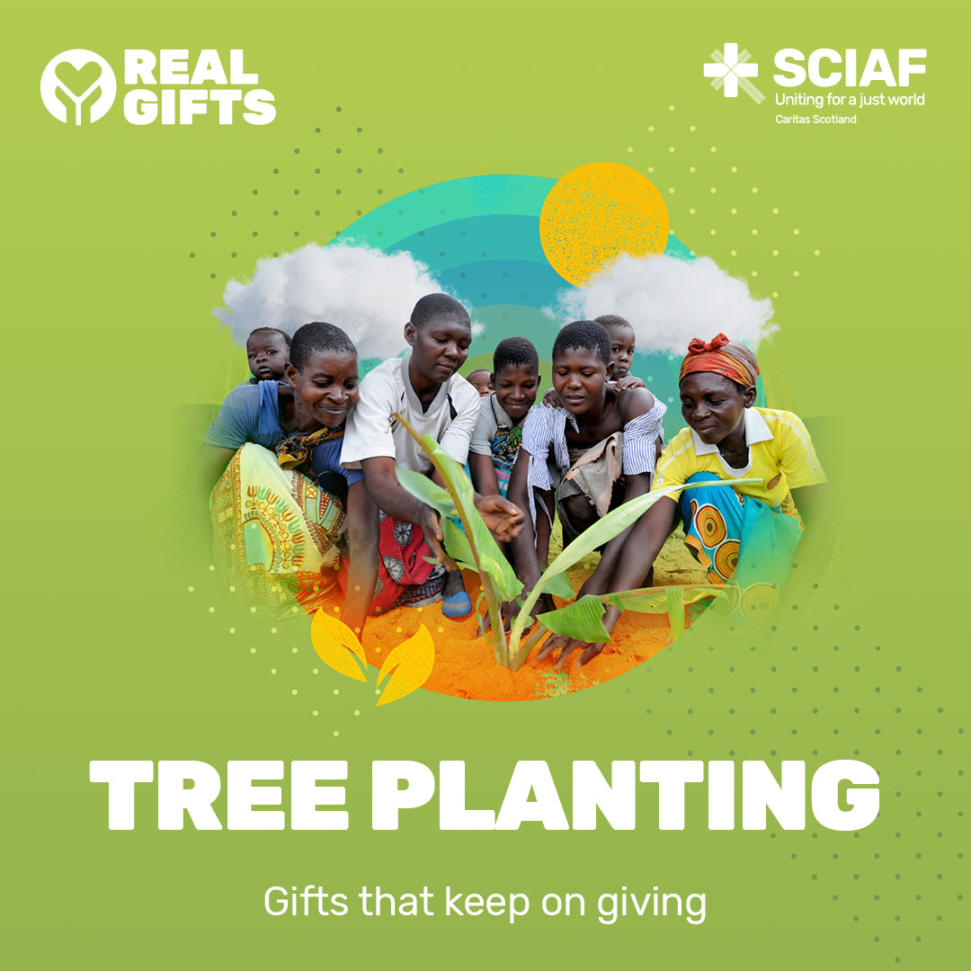 Gift Tree Planting in Vulnerable Communities – SCIAF Real Gifts Store